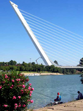 Puente del Alamillo